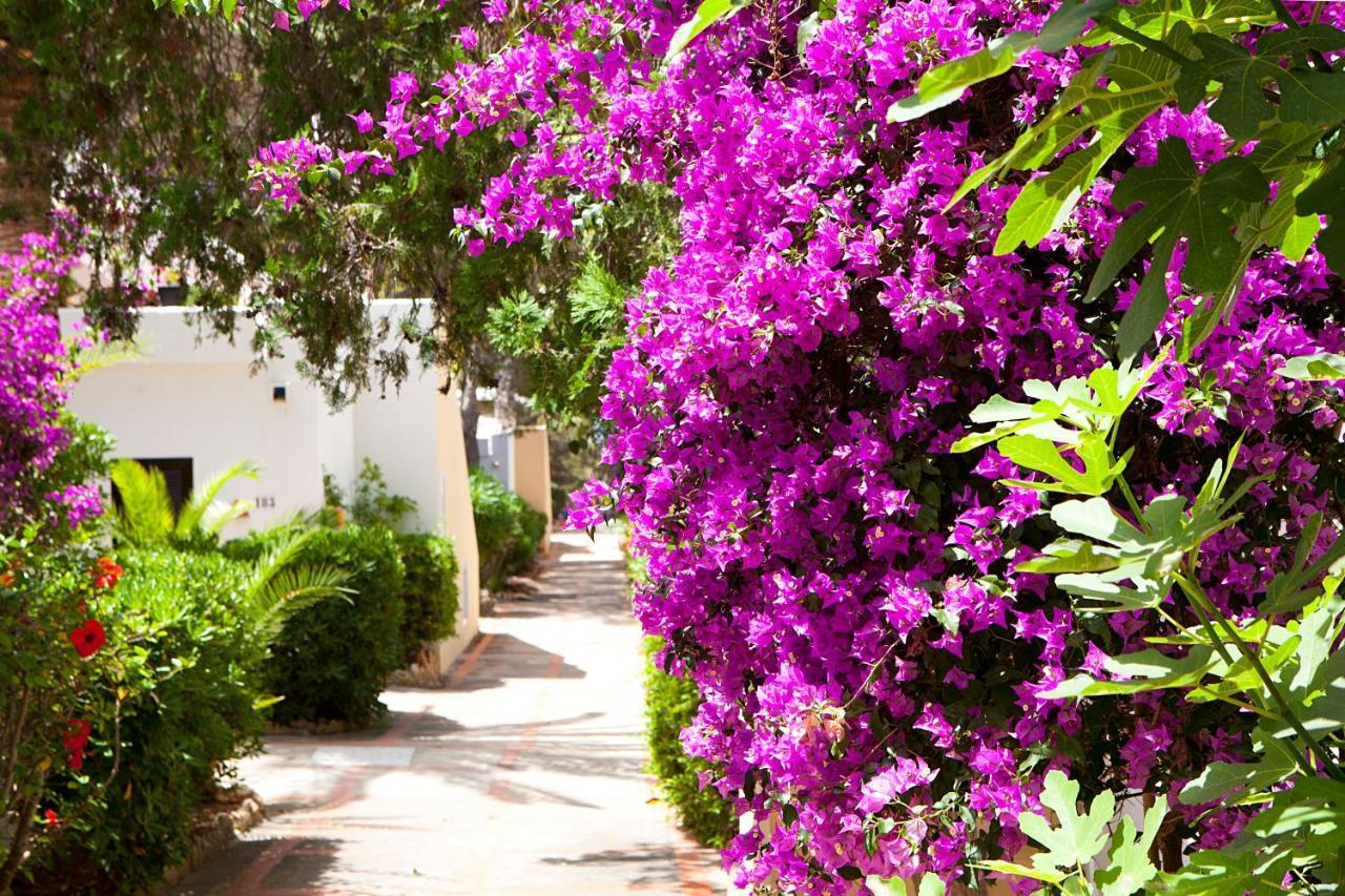 Apartamentos Club Cala Azul Sant Carles de Peralta Exterior photo